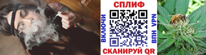 Купить где  Гуково  МАРИХУАНА ГИДРОПОН 